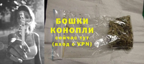 твердый Богданович