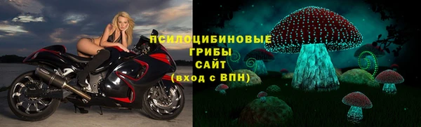 твердый Богданович