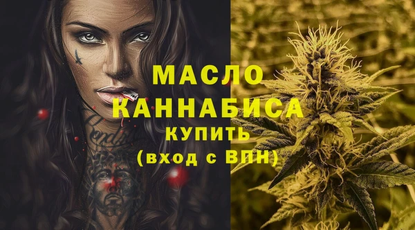 индика Богородицк