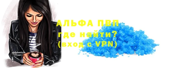 индика Богородицк