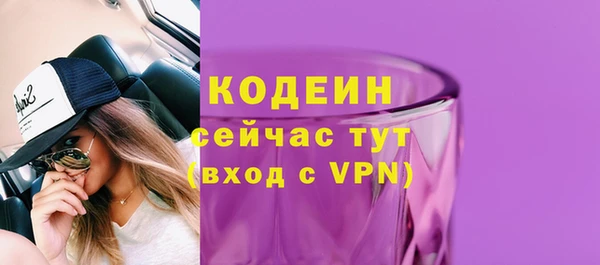 индика Богородицк