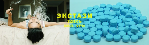 индика Богородицк