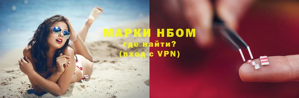 твердый Богданович