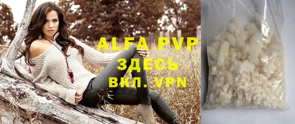 индика Богородицк