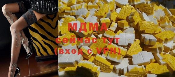 индика Богородицк
