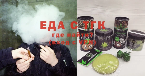 индика Богородицк