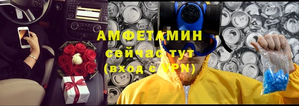 индика Богородицк