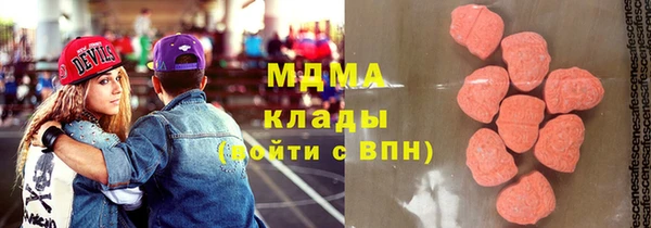 индика Богородицк