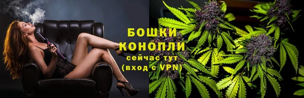 индика Богородицк