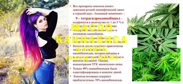 индика Богородицк