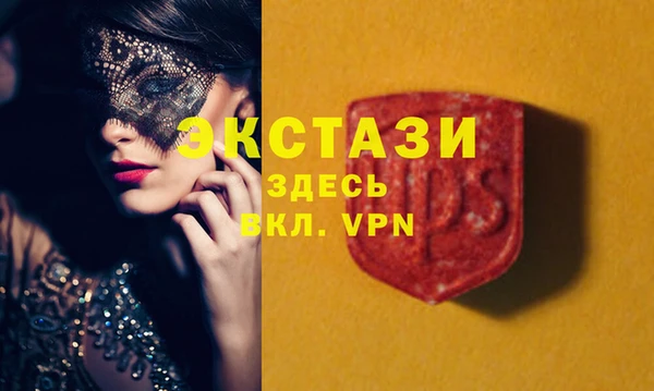 индика Богородицк