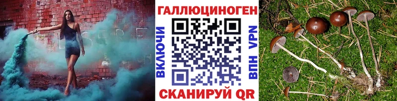 Галлюциногенные грибы Magic Shrooms  Реж 